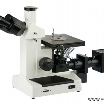MTS5000倒置式金相显微镜