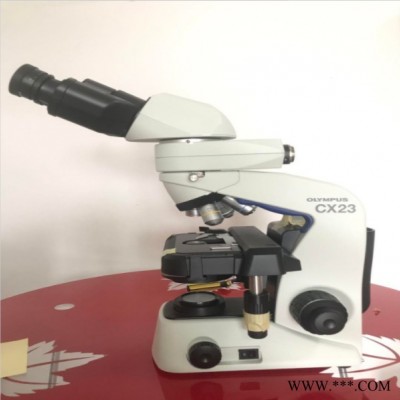 伊若达 供应 奥林巴斯显微镜  奥林巴斯CX23显微镜  高倍显微镜  显微镜厂家
