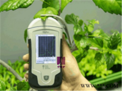塞亚斯PolyPen 植物光谱仪