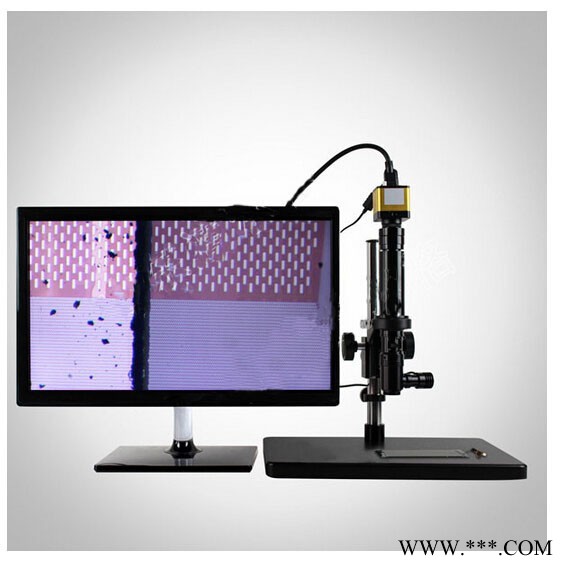 DYJ-1000V视频检测显微镜