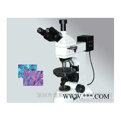 中高金相显微镜 三目金像显微镜 导电粒子 显微镜L3203