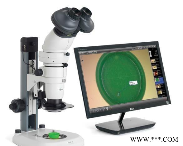VISION显微镜 Ergo 80 高性能体视显微镜 工业显