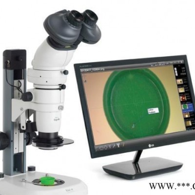 VISION显微镜 Ergo 80 高性能体视显微镜 工业显
