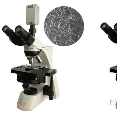 供应上海光密GPH-300相衬显微镜，相差显微镜