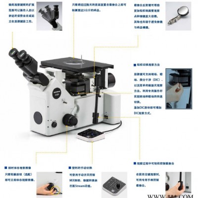 Olympus/奥林巴斯 GX53倒置金相显微镜