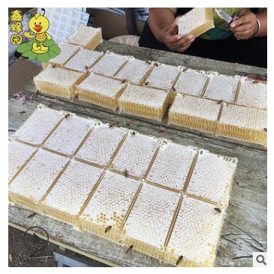 蜂巢蜜300克包装 荆条巢蜜散装土蜂蜜厂家批发