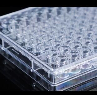 厂家直供一次性超低吸附细胞培养板 96孔，透明，平底/圆底